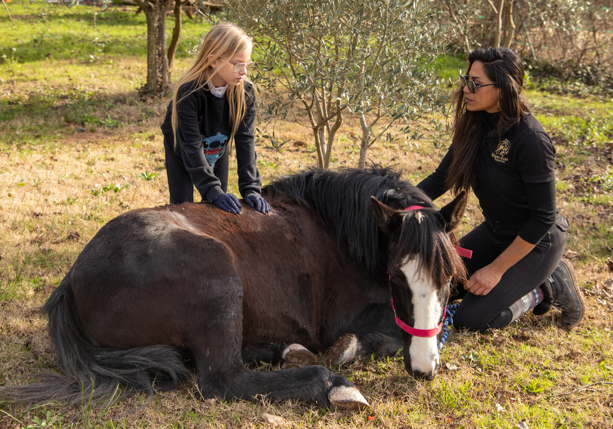 Equithérapie