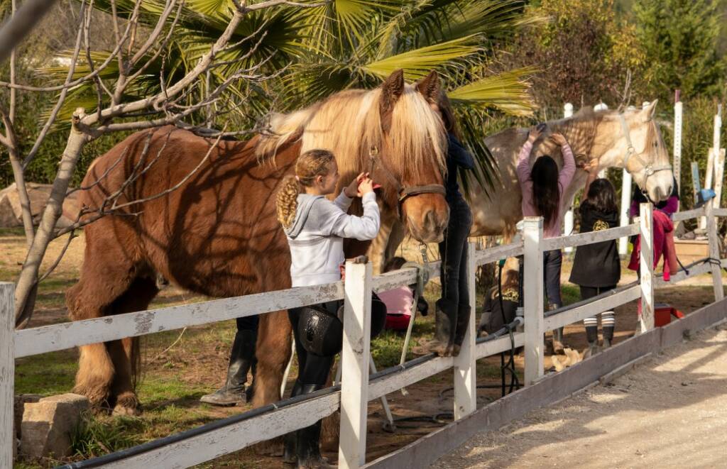 cheval a louer Var Equizen