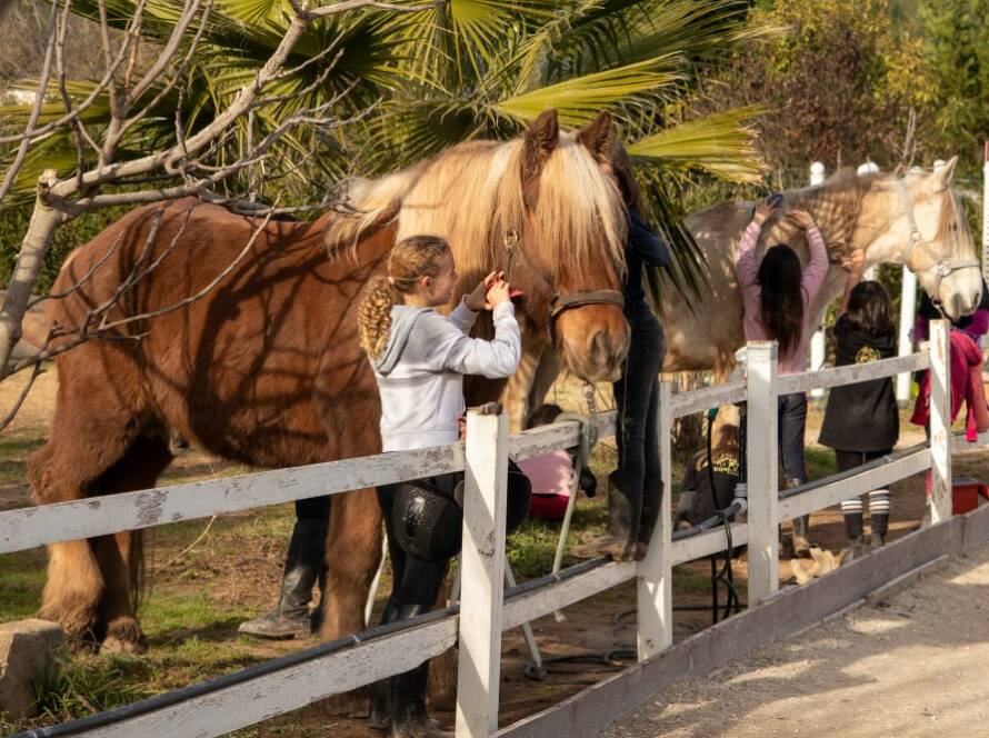 Sortie cheval balade équestre Var 83