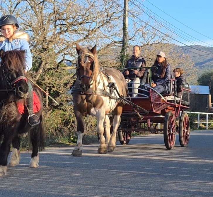 Activité : Balade en calèche en famille, Mariage Var